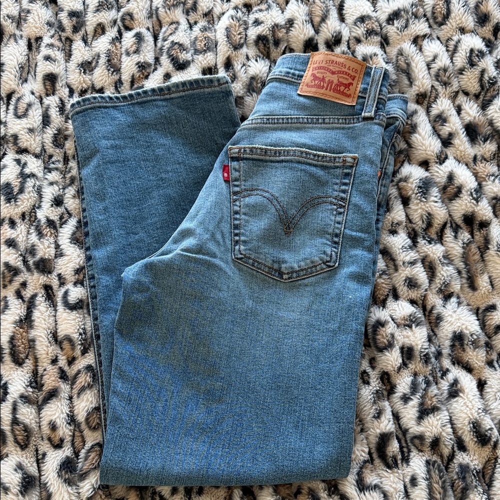 Classic Blue Denim Jeans